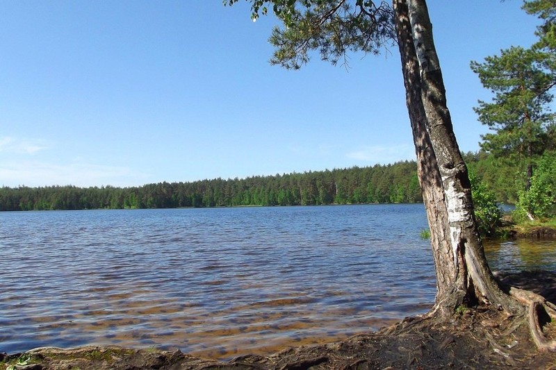 Велопрогулка к Мещерским озерам