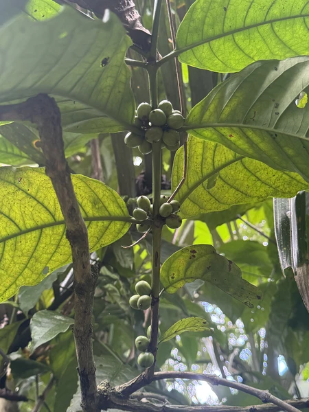 замечательная экскурсия от великолепного гида Мади! Мы проехали 10 часов с юга на север, увидев водопад