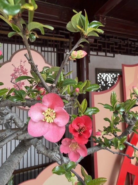 Спасибо большое за классную экскурсию! гид - шикарный, много интересной информации рассказывает, дает время погулять, прекрасно