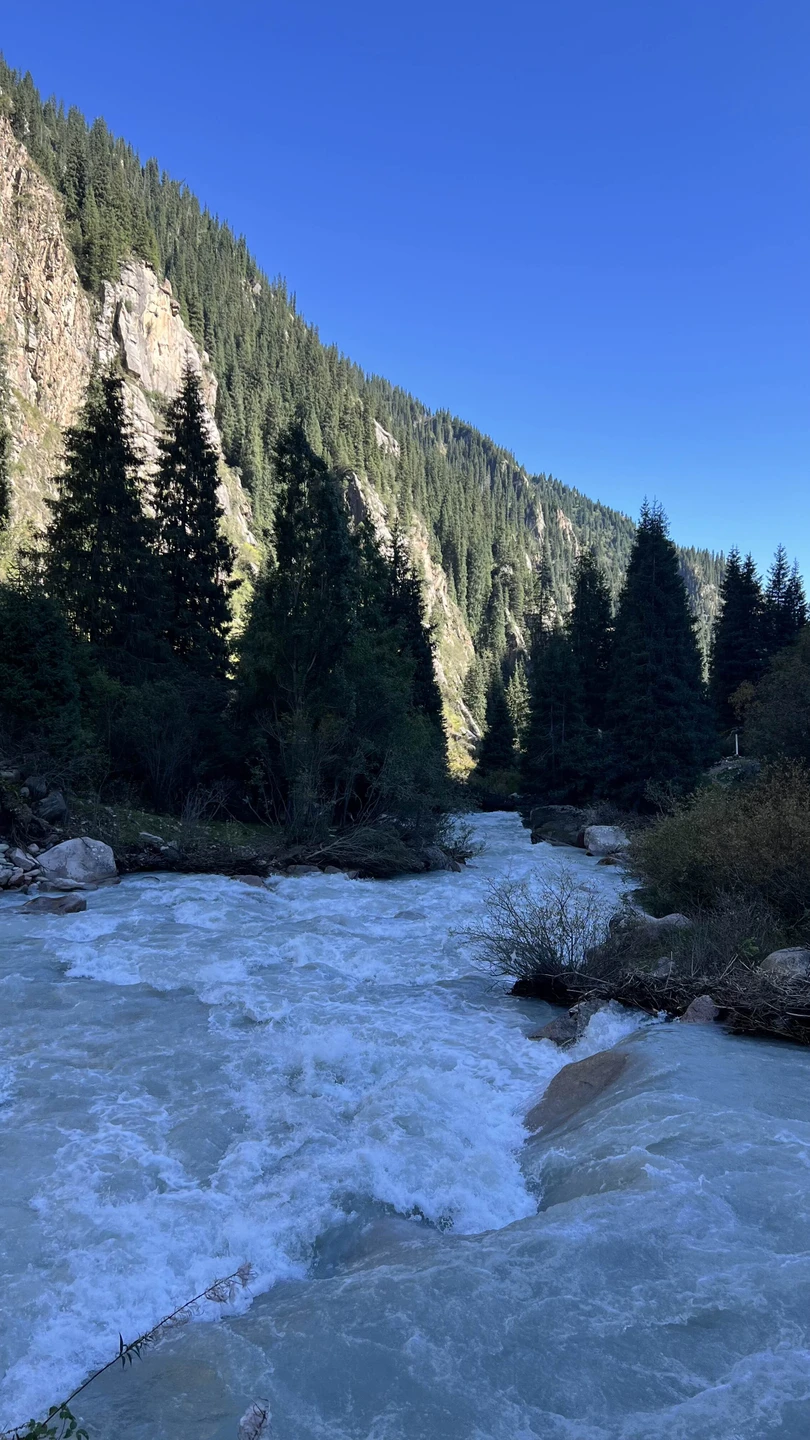 Юрий, спасибо за увлекательную и содержательную экскурсию! Все локации подобраны идеально. За одну поездку удается погрузиться