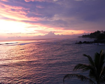 Плавание с черепахами, сёрфинг и снорклинг