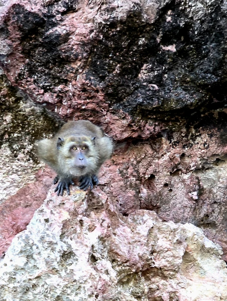 Это было волшебно и бесподобно!