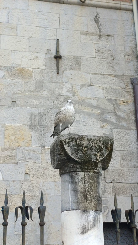 Генуя сегодня