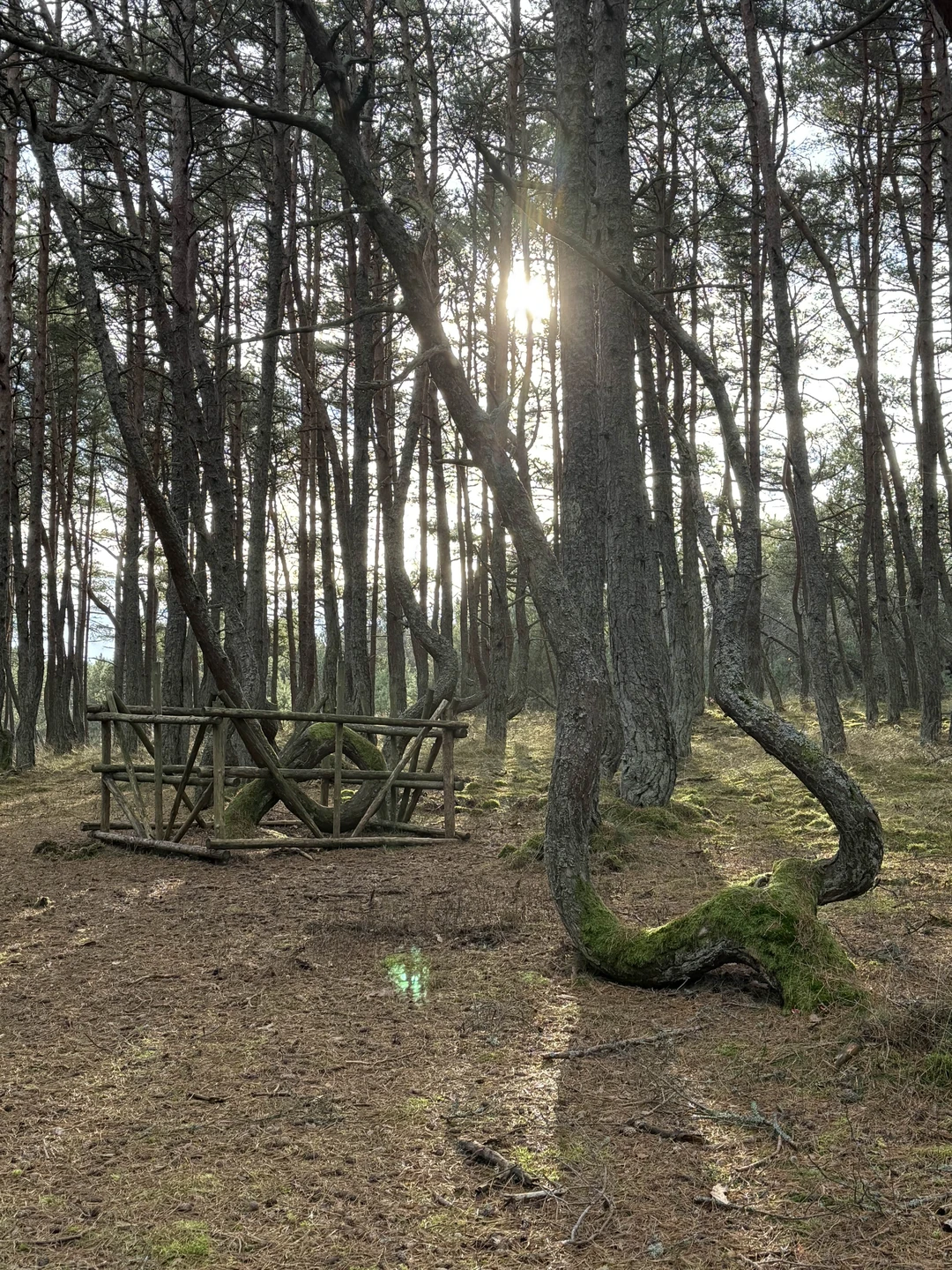 Сказать, что мы с подругой остались довольны экскурсией - не сказать ничего! Это восторг! Наш гид