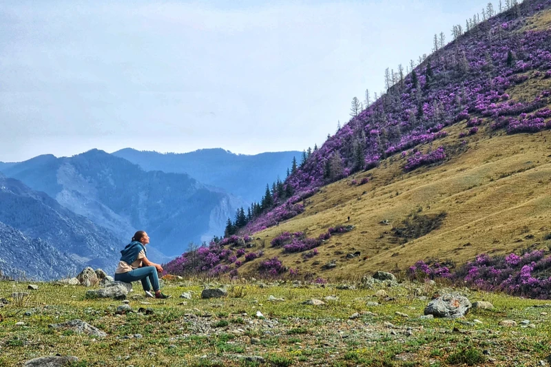 По цветущему Алтаю верхом: конный тур с проживанием на базе (всё включено) - Фото 5