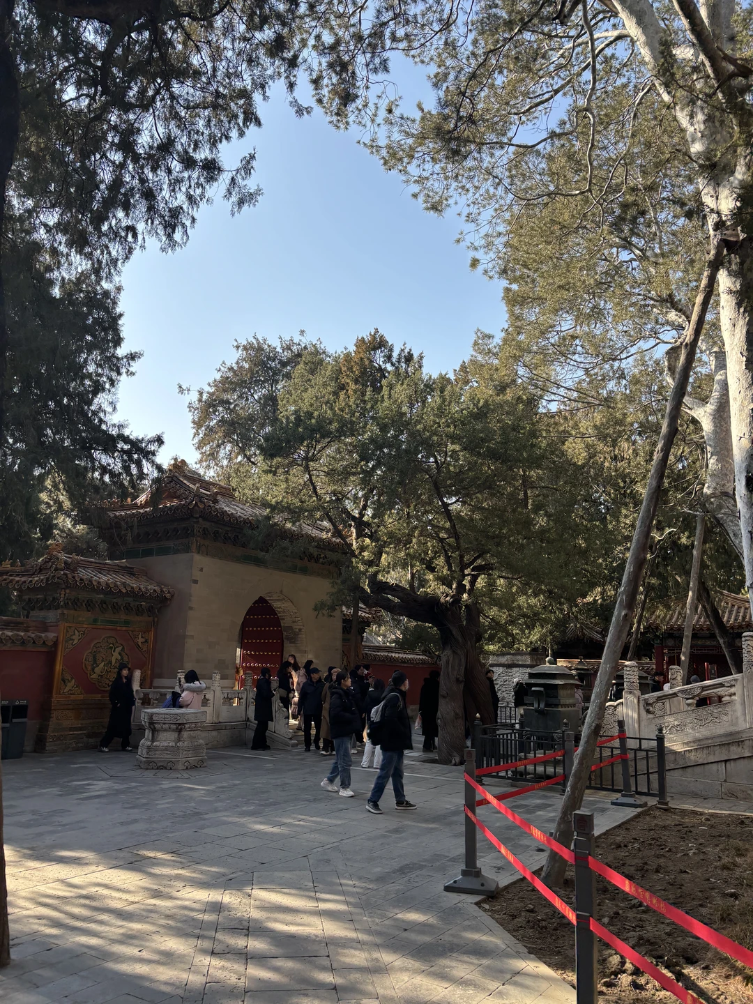 Отличная экскурсия. Цзин (Анна) замечательно говорит по-русски. Уровень подготовки и содержание похода полностью соответствует описанию и