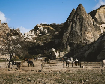 Встреча в Стамбуле, перелёт в Каппадокию, катание на квадроциклах или лошадях