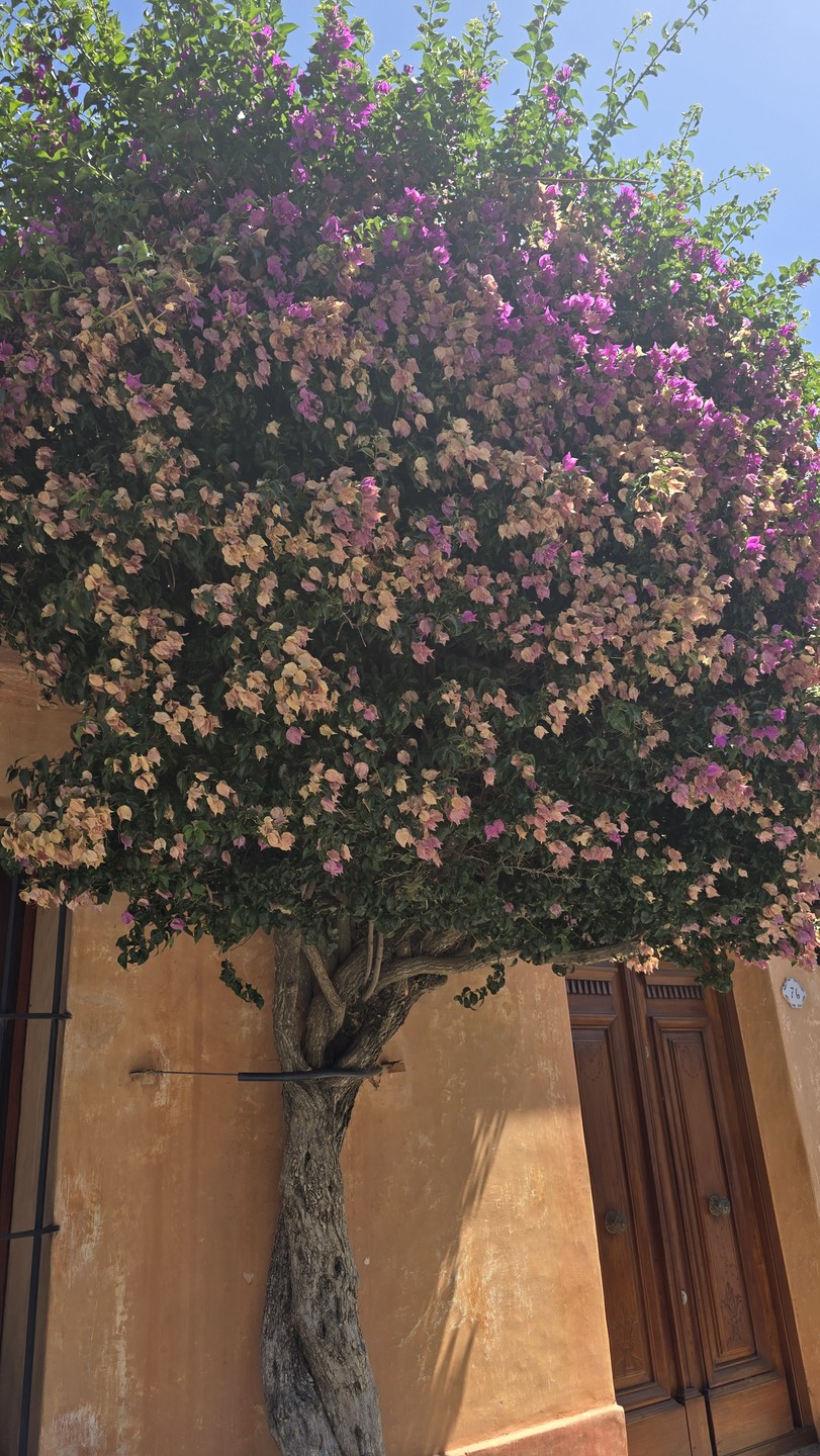 Елизавете большое спасибо за проведённое время и экскурсию, было ощущение что приехали к старой знакомой с