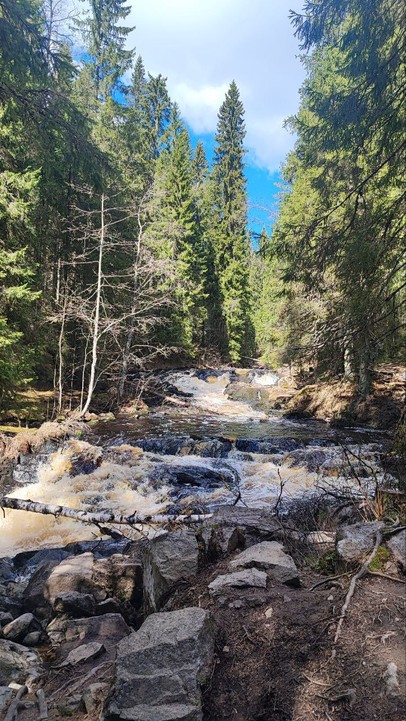 Карелия из Санкт-Петербурга: водопады, Рускеала и тот самый ретропоезд (Екатерина)