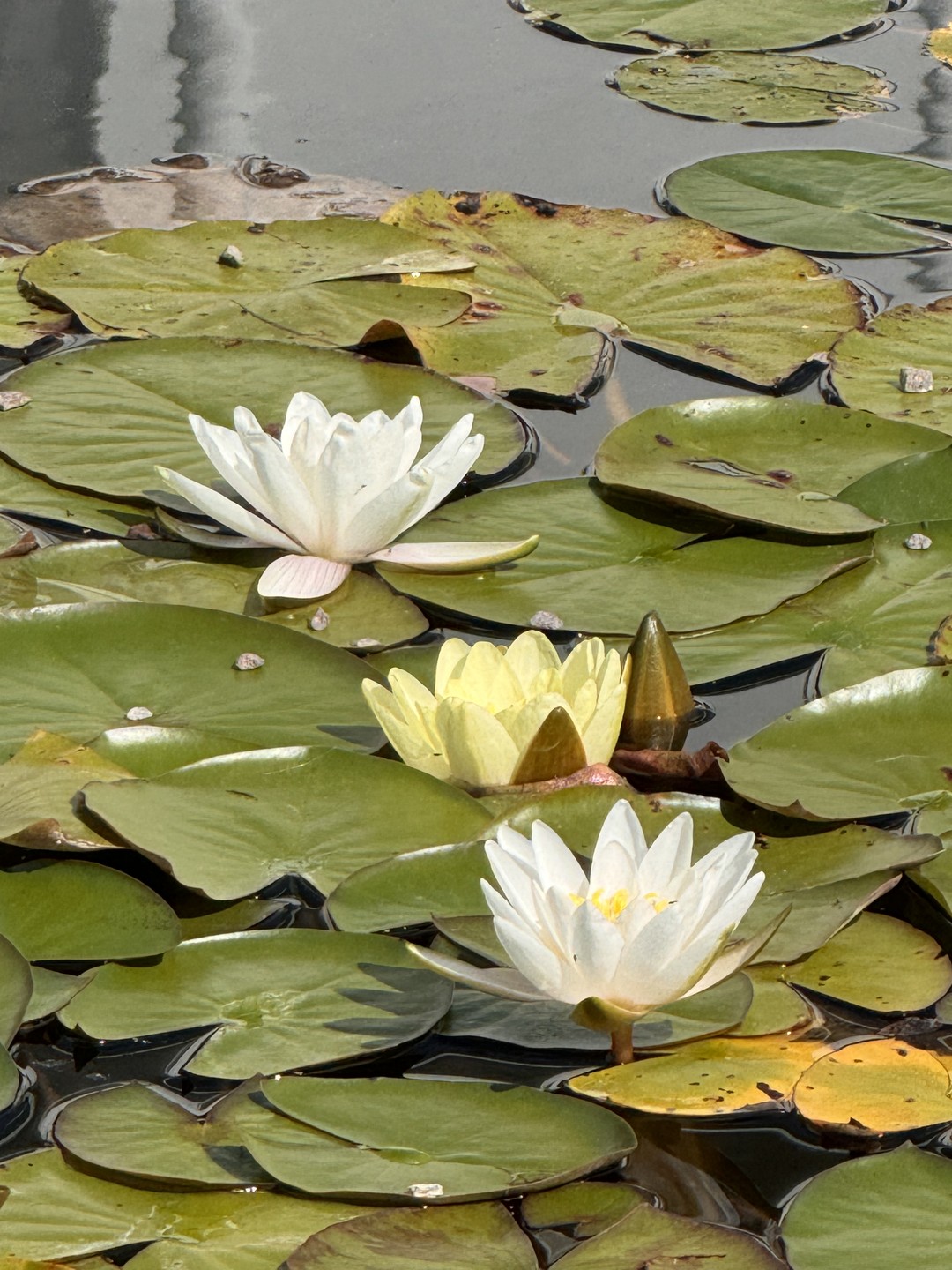 По стопам былинного героя (на вашем авто) (Светлана)