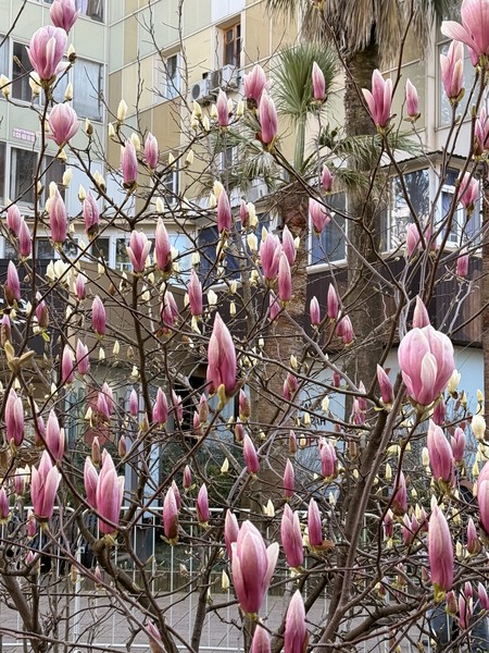 нам понравилась экскурсия (были 8 марта 2026), достаточно много интересной и полезной информации об истории города