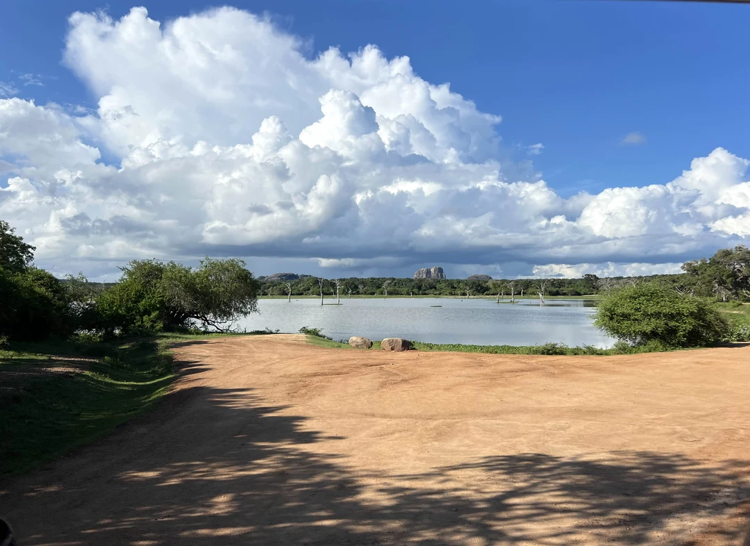 Очень рекомендую эту экскурсию. Дорога от отеля прошла незаметно: столько интересной истории, слушали втроем с 9-летним