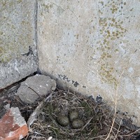 Фото отзыва 2: экскурсия "На катере — вокруг 8 цеха завода «Дагдизель»"