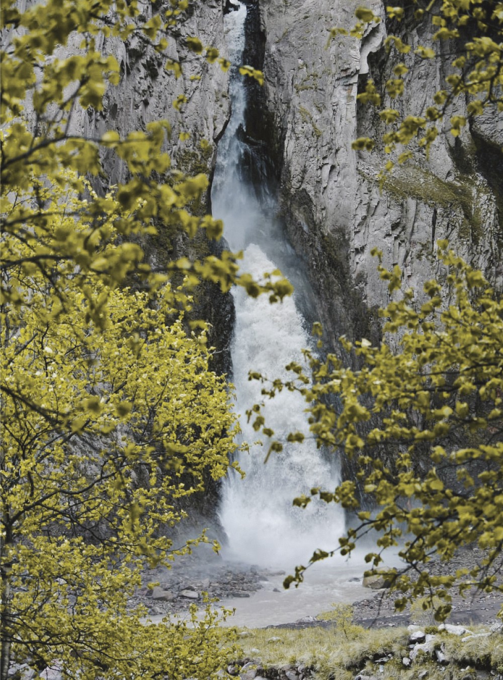 Экскурсия на Джилы-Су + оздоровительный треккинг на Калинов Мост (8/10)