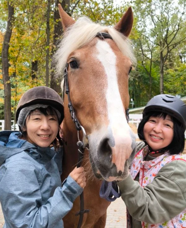 Интерактивная экскурсия по конюшне в Москве