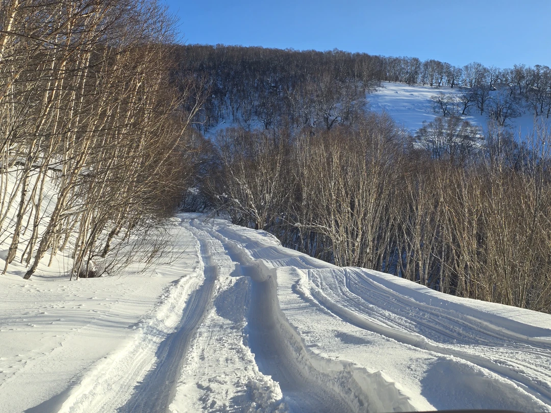 Хорошая обзорная экскурсия с посещением всех заявленных в описании мест. Гид Александр виртуозно управляет автомобилем, что