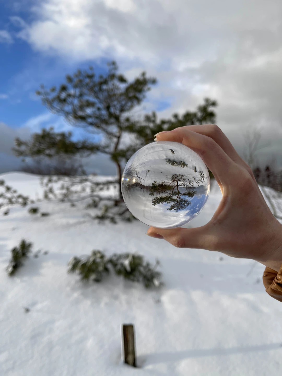 Сегодня у нас был волшебный день с чудесным гидом-фотографом Евой! Куршская коса и Зеленоградск! Третий день