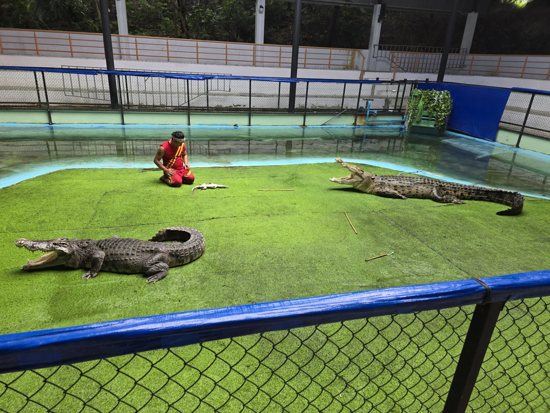 Отличная экскурсия, рекомендую Дмитрия! Очень интересно все рассказал, живет на Пхукете более 10 лет