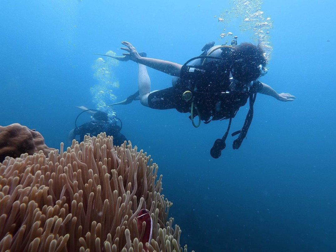 На Фукуоке ничего интересного рядом с отелем не увидеть. Чтобы увидеть подводный мир надо плыть на