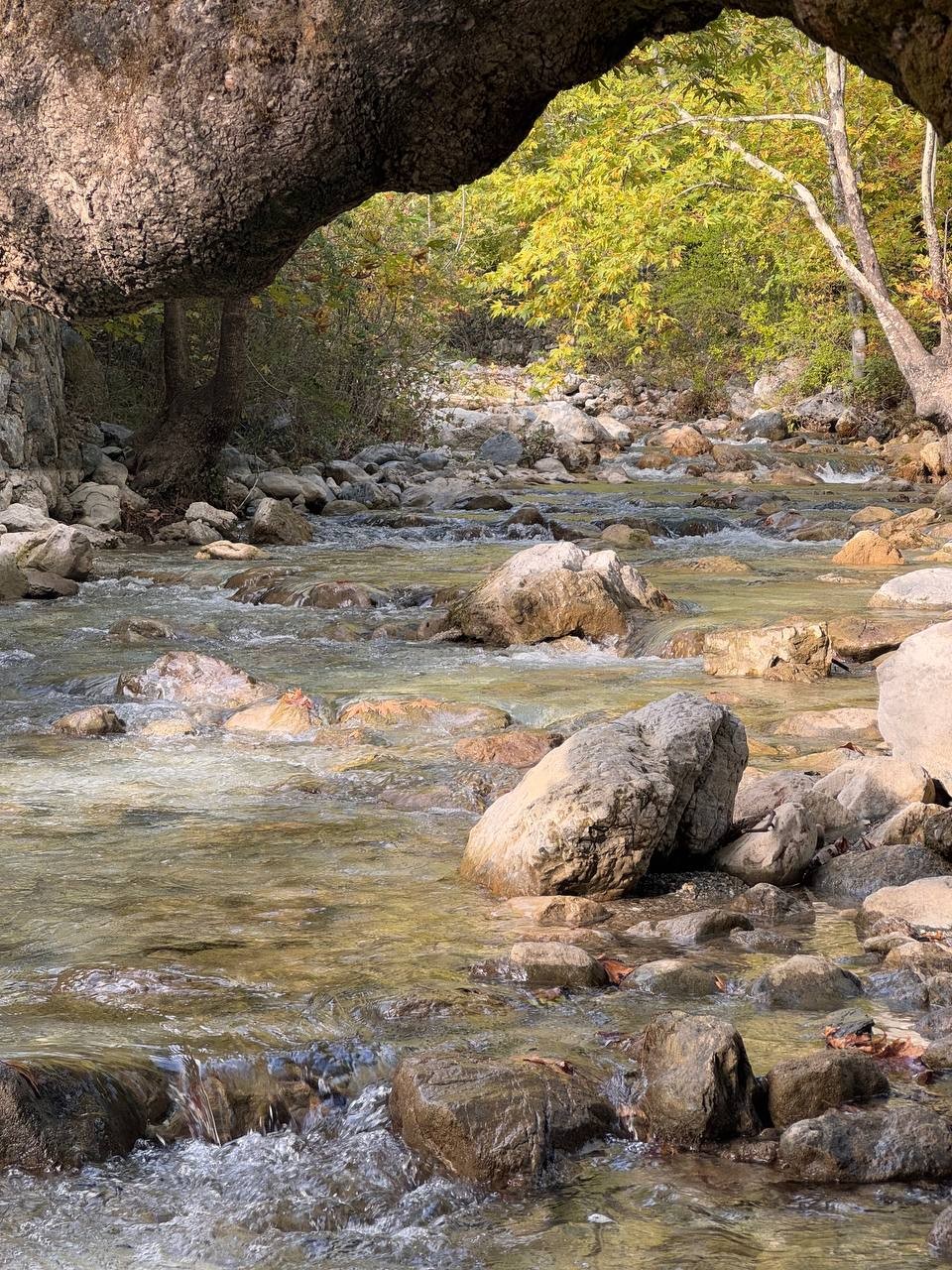 Очень приятная, спокойная и расслабляющая экскурсия по красивейшим местам старинной Турции. Никакой спешки, интересные истории от