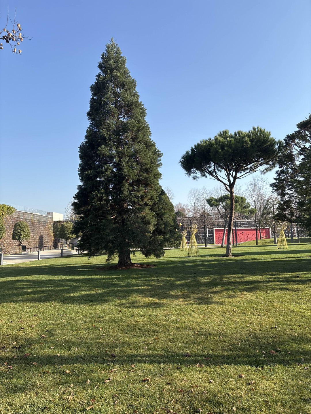 Увлекательная, познавательная, яркая экскурсия по парку Галицкого с замечательным гидом Светланой. За два часа увидели и