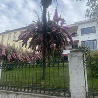 reviews img
