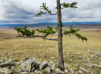 Тажеранская степь и Сахюрта