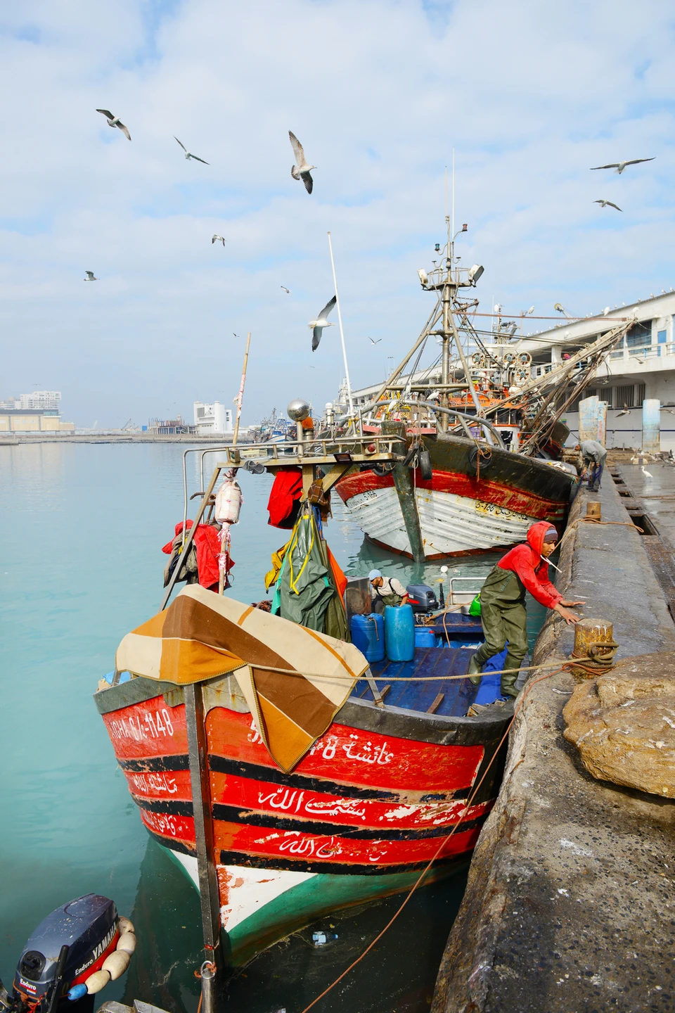 Эта необычная Касабланка (Марина)