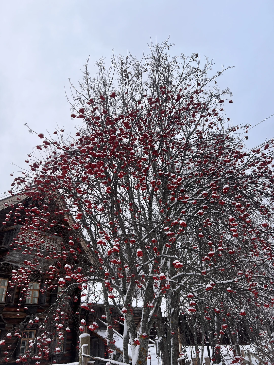 Недавно побывали на экскурсии в Шелтозеро и в полном восторге! Это уникальное место с удивительной атмосферой