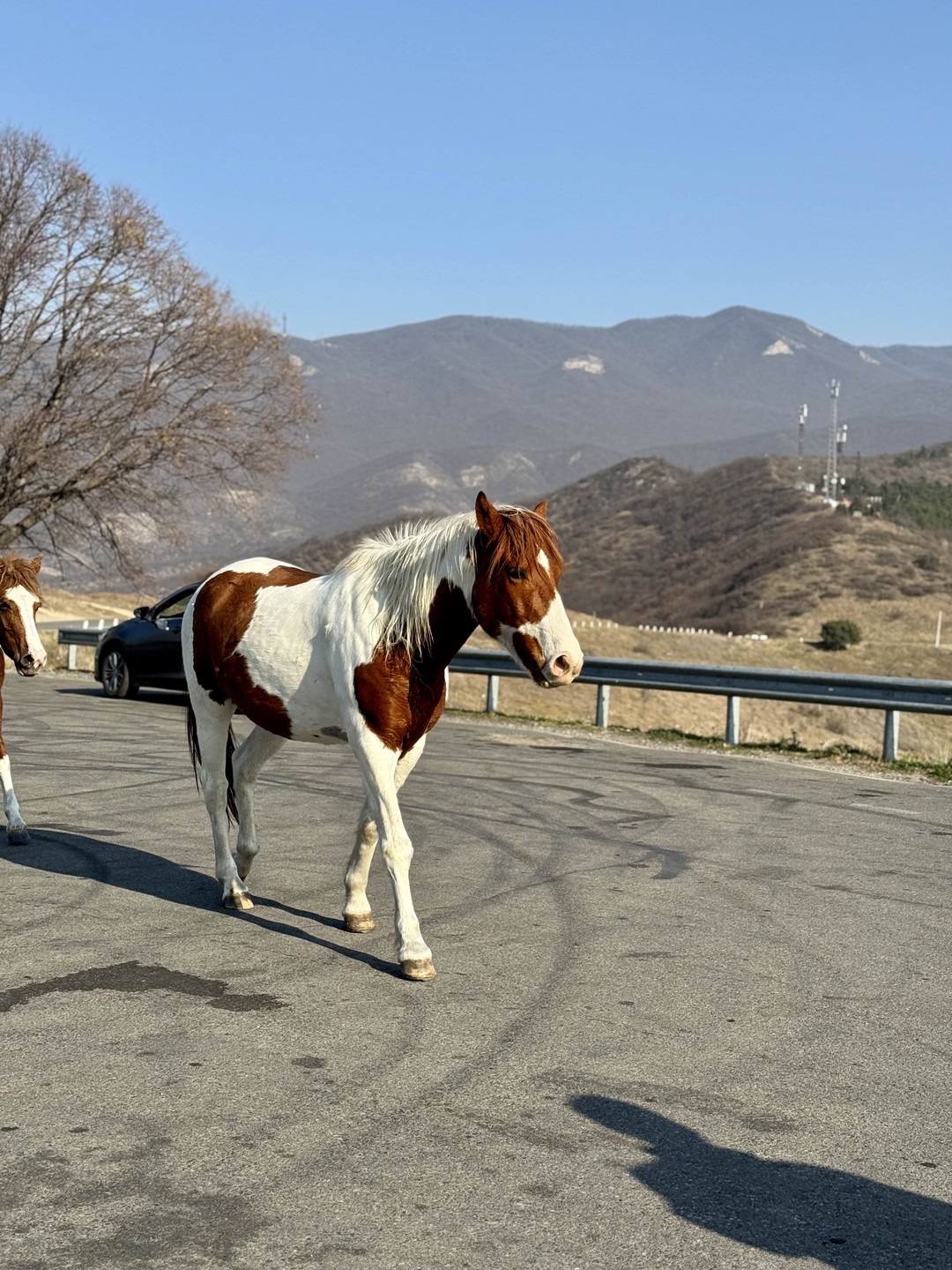 Невероятные виды!