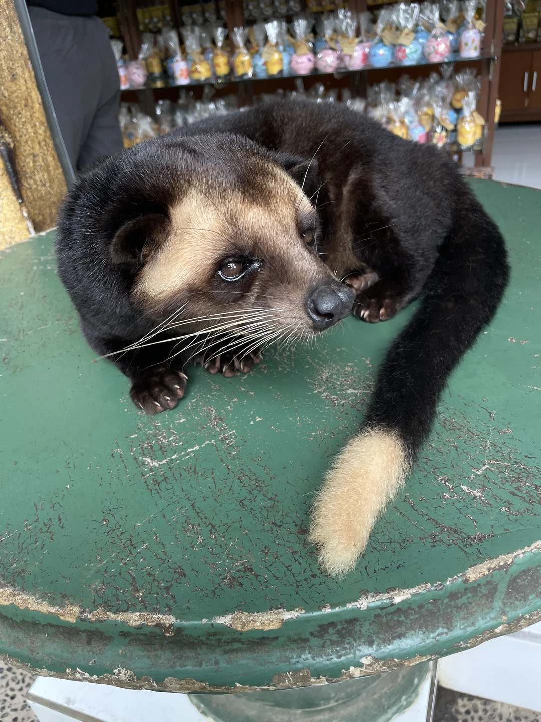 Всем добрый день! Сегодня мы с мамой были на экскурсии «Все краски Бали» с Густи! Хочется