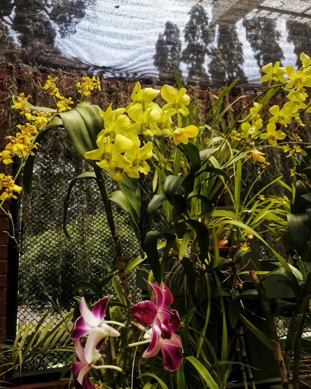 Очень понравилась данная экскурсия и экскурсовод. Сразу виден многолетний опыт и огромный пласт знаний. Так получилось