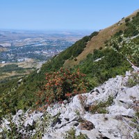Отзыв о экскурсии "От заката до рассвета: восхождение на гору Бештау" — фото 5