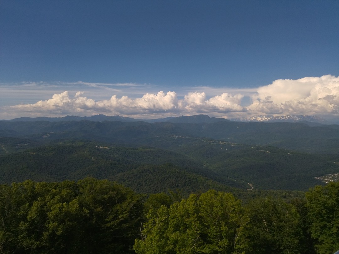 Групповая обзорная экскурсия по Сочи из Адлера (Любовь)