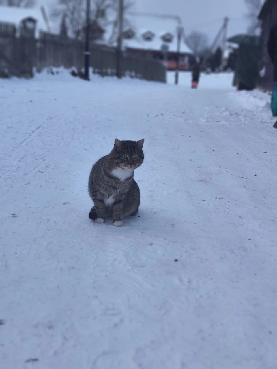 Прекрасная экскурсия. Все было очень интересно, в комфортном темпе. Небольшая группа. Повезло с погодой. Большое спасибо