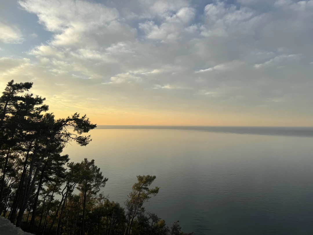 Вчера были на экскурсии с гидом Славиком, все очень понравилось! Интересные рассказы об истории Абхазии, невероятная