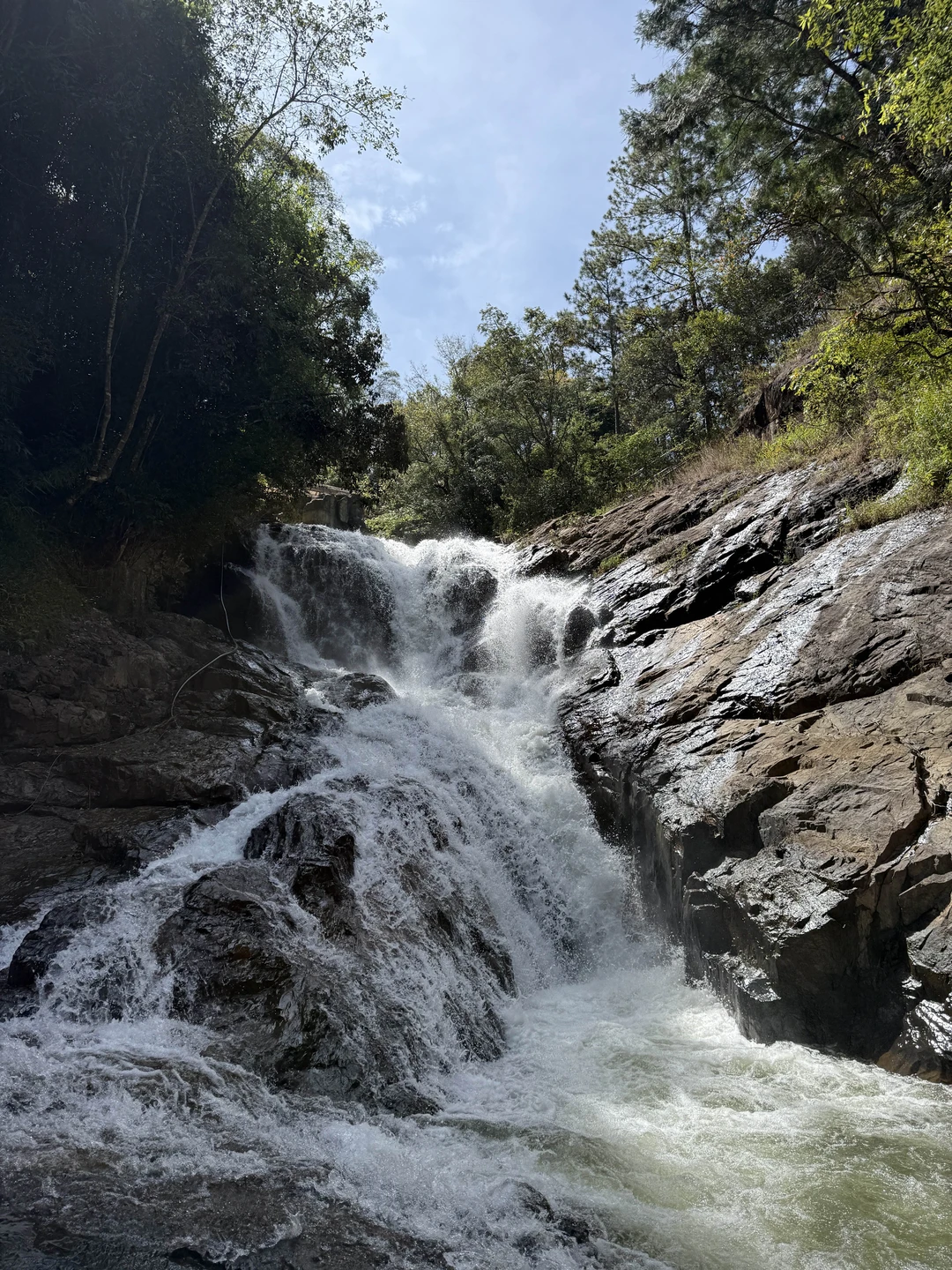 Из Нячанга - в Далат, самый европейский город Юго-Восточной Азии (Ольга)
