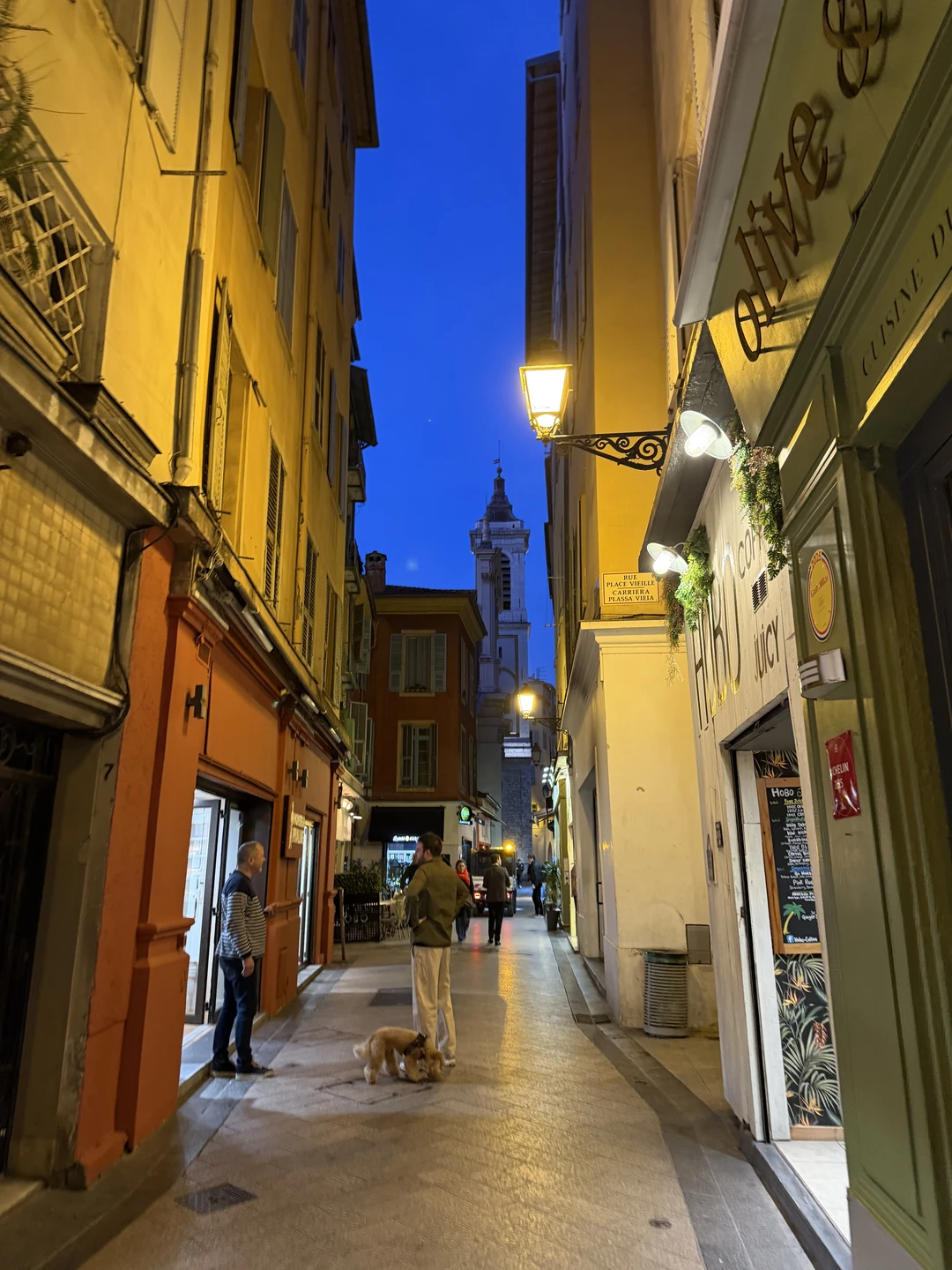 Ницца бесподобна! Мария- прекрасный и знающий гид, информация подается легко и с большой нежностью к городу. Рекомендую на 100%