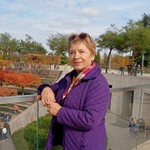 Аватар путешественника