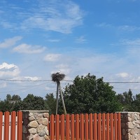 Фото отзыва 2: экскурсия "Удивительные окрестности Бреста"
