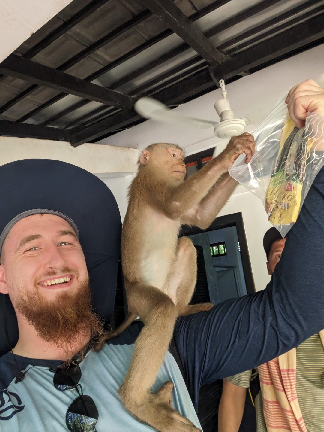 Благодарю, Александр!