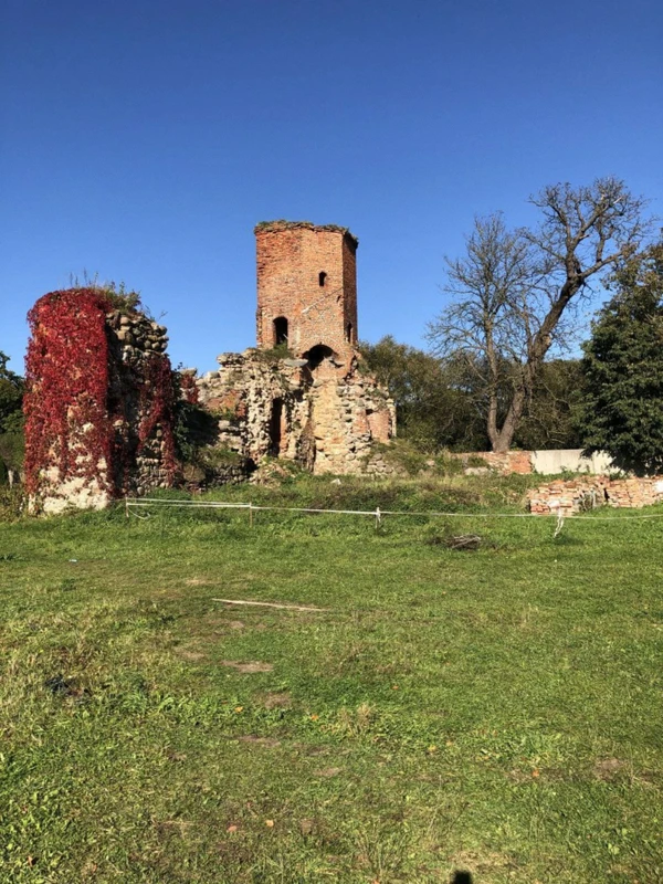 Тевтонский орден на прусской земле