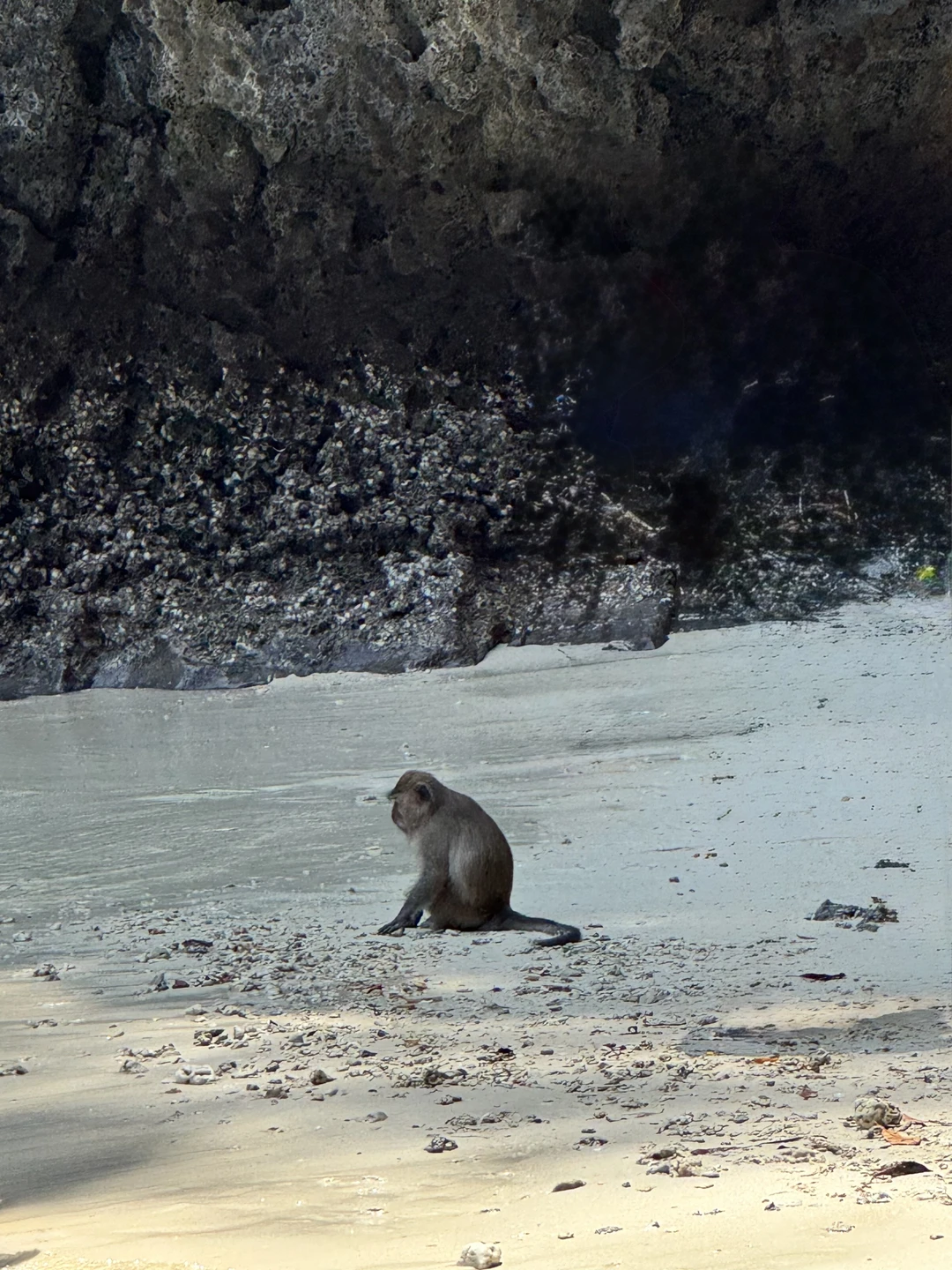 Экскурсия хорошая, насыщенная и интересная. Организовано все чётко, заранее сообщили расписание, забрал автобус как было запланировано