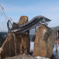 Фото отзыва 2: экскурсия "Красноярск и Дивногорск: панорамы, горы, Енисей"