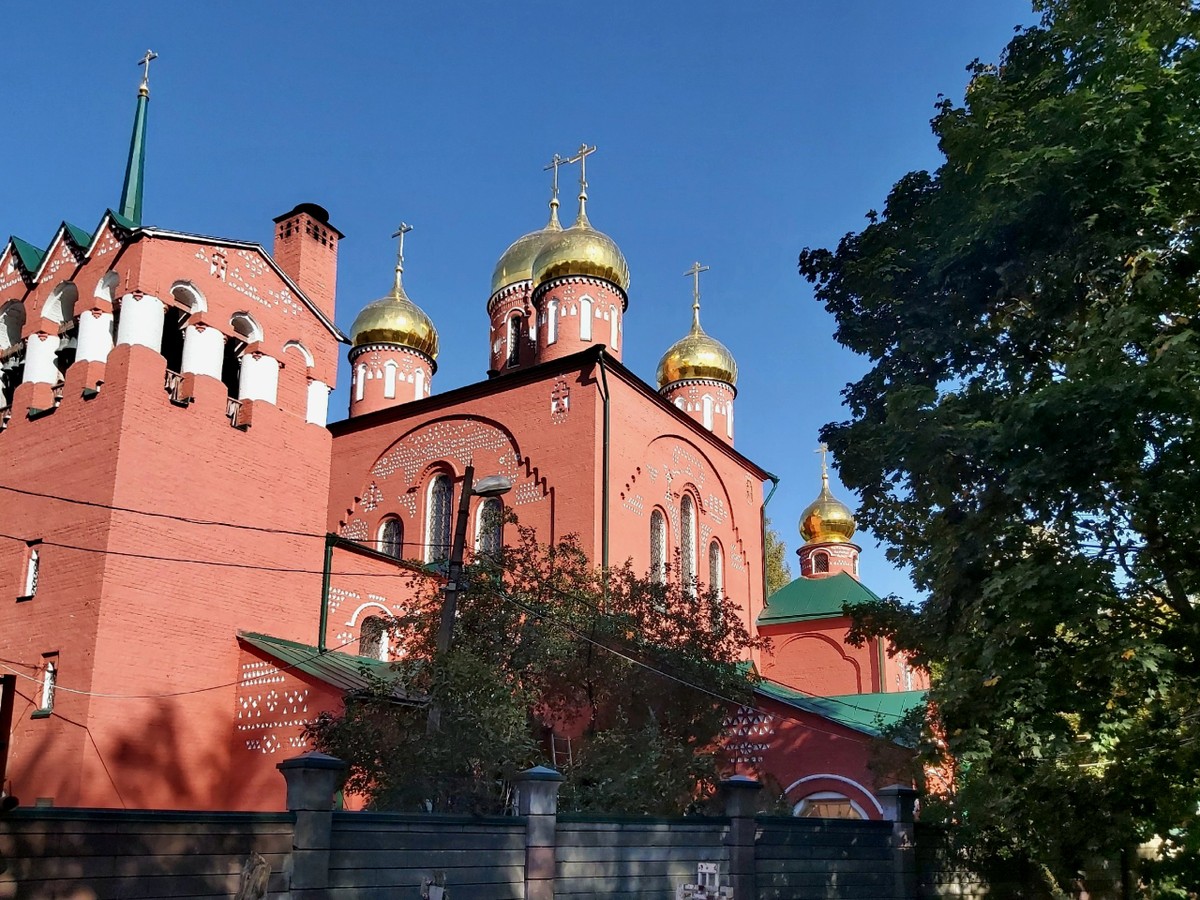 Фото Грибы и гробы: по старинному кладбищу Нижнего Новгорода с микологом