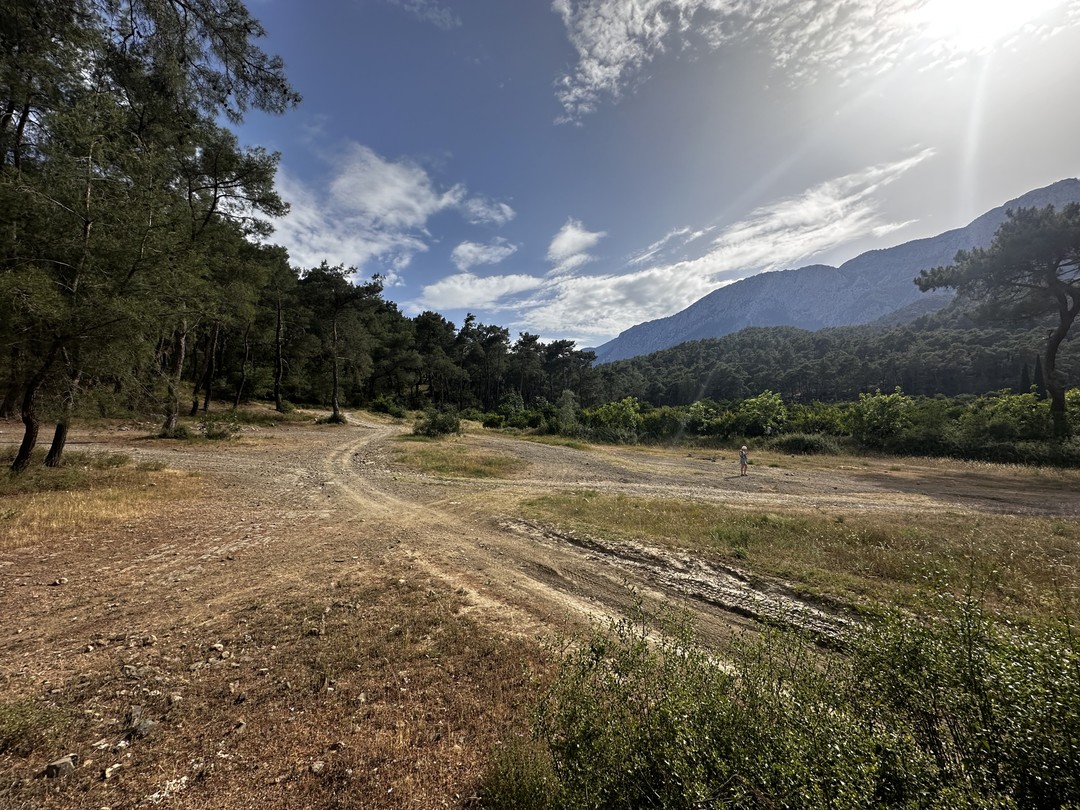 Прикольный опыт вождения квадроцикла