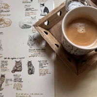 Фото отзыва 2: экскурсия "Кошачьи кафе Праги: история, сладости и котики"