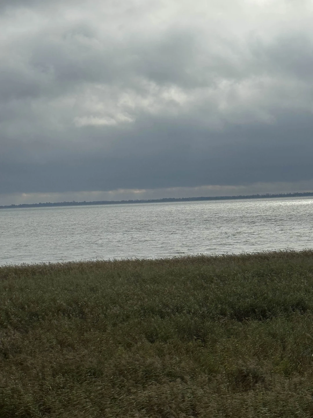 Прекрасная экскурсия. Все четко организовано. Интересный рассказ об истории и природе края с дополнительными иллюстрациями. Забота