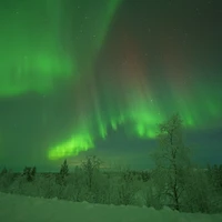 Фото отзыва 2: экскурсия "Северное сияние: чудо света в Мурманске"