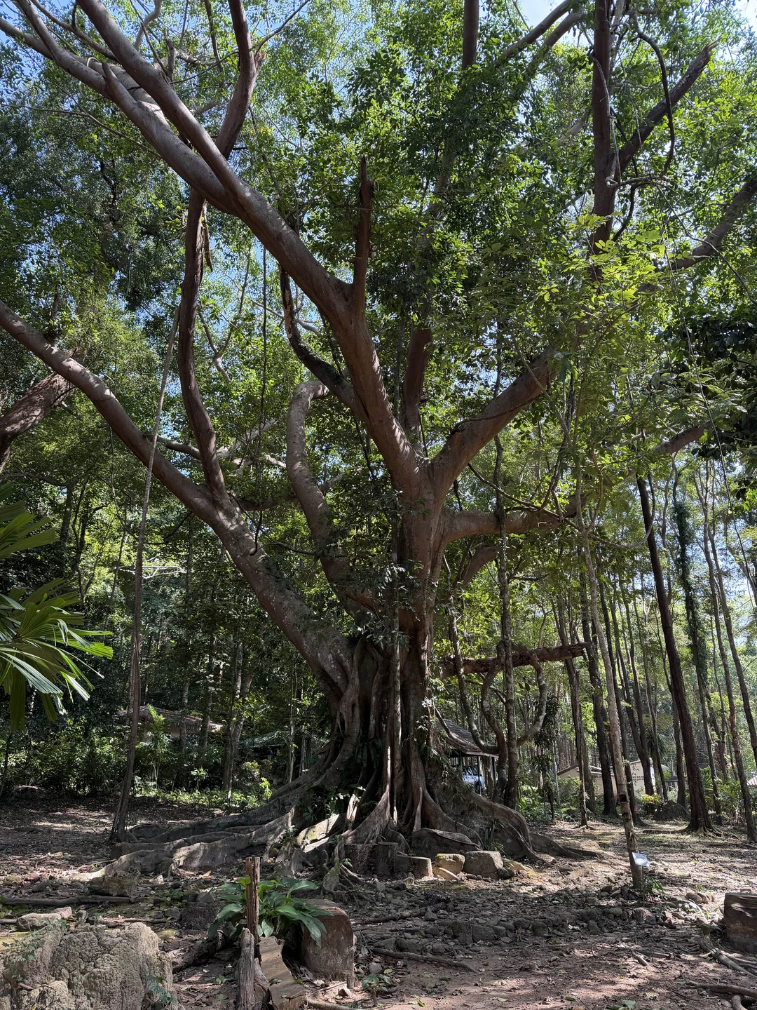 Все было супер, невероятные эмоции и воспоминания! 👍🏻👏🏻💪🏻
